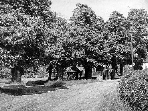 Celebrating the Heritage of Chenies Village