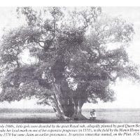 The Royal Oak, c.1900s. Photo from the collection of Colin Seabright. Used with kind permission from Carolyn Birch.