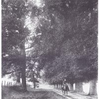 Lady Cheney's Walk From the collection of Colin Seabright. Used with kind permission from Carolyn Birch.