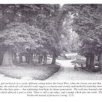 Village Green and Old Well, c.1900s. From the collection of Colin Seabright. Used with kind permission from Carolyn Birch. Elms