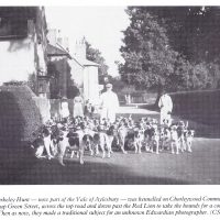The Old Berkeley Hunt, kennelled on Chorleywood Common, on the road past the Red Lion. From the collection of Colin Seabright. Used with kind permission from Carolyn Birch. hounds, hunt